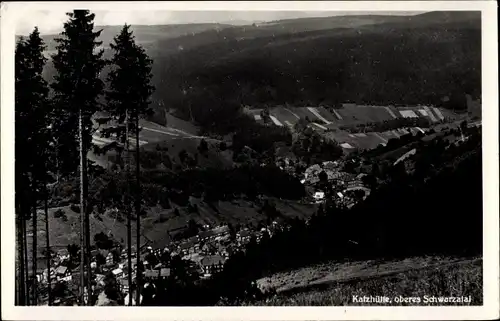 Ak Katzhütte im Schwarzatal, Panorama