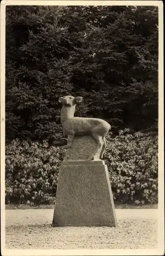 Ak Hoenderloo Gelderland, Het Nationale Park De Hoge Veluwe, Stenen Hert.