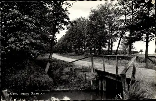 Ak Gees Drenthe, Ingang Staatsbos