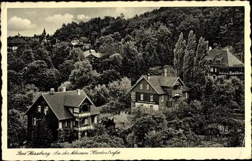 Ak Bad Harzburg am Harz, Partie an der kleinen Krodostraße