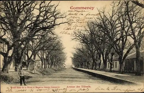 Ak Commercy Lothringen Meuse, Avenue des Tilleuis