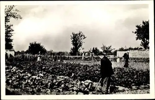 Ak Rambouillet Yvelines, Le Refuge des Cheminois, Le Potager