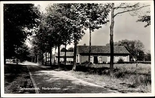 Ak Schoonebeek Drenthe Niederlande, Norbruislaan