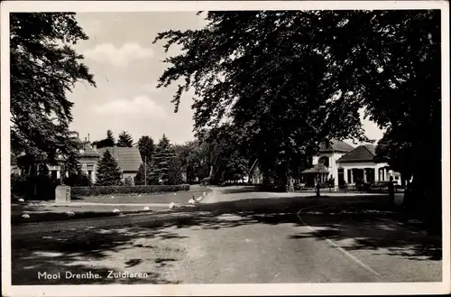 Ak Zuidlaren Drenthe Niederlande, Brink, Straßenpartie