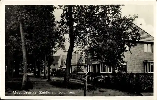 Ak Zuidlaren Drenthe Niederlande, Boschlaan