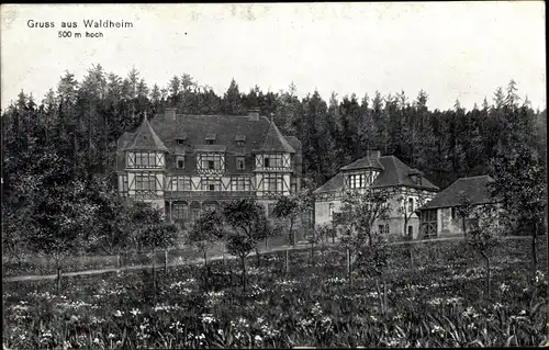Ak Waldheim in Sachsen, Häuser am Waldrand