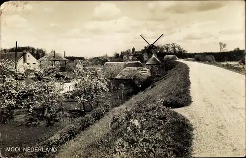 Ak Niederländische Windmühle, Straßenpartie, Baumblüte