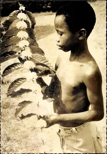 Ak Missions africaines de Lyon, Branche de caféier en fleurs
