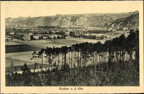 Ak Diesbar Seußlitz Nünchritz an der Elbe, Panorama