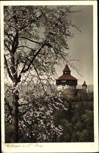 Ak Esslingen am Neckar, Burg, Baumblüte