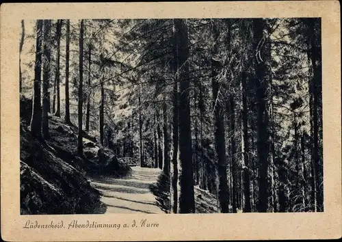 Ak Lüdenscheid im Märkischen Kreis, Abendstimmung an der Nurre