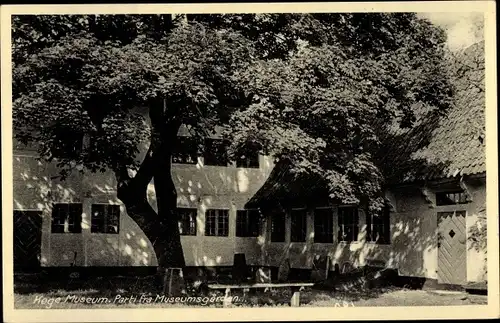 Ak Koge Dänemark, Museum, Parti fra Museumsgarden