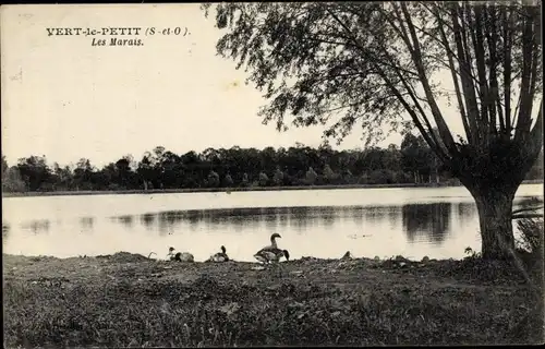 Ak Vert le Petit Essonne, Les Marais