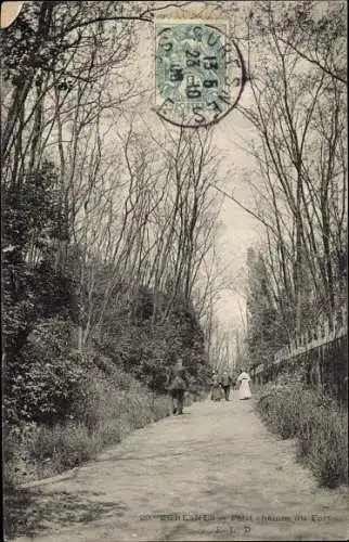 Ak Suresnes Hauts de Seine, Petit chemin du Fort