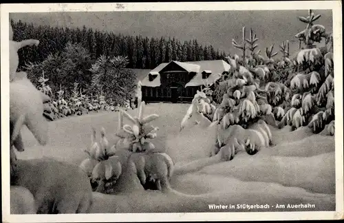 Ak Stützerbach Ilmenau Thüringer Wald, Am Auerhahn, Winter