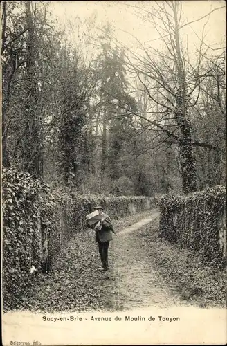 Ak Sucy en Brie Val de Marne, Avenue du Moulin de Touyon