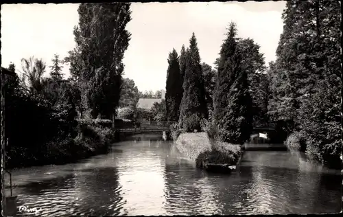 Ak Meung sur Loire Loiret, Les Mauves