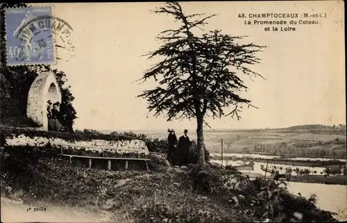 Ak Champtoceaux Maine-et-Loire, Promenade du Coteau et la Loire