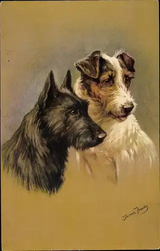 Künstler Ak Hundeportrait, zwei Terrier