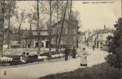 Ak Esbly Seine et Marne, Vue de la Prairie