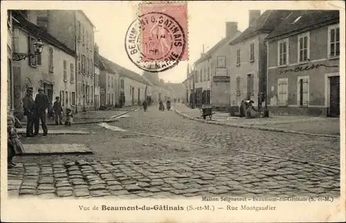Ak Beaumont du Gâtinais Seine et Marne, Rue Montgaudier