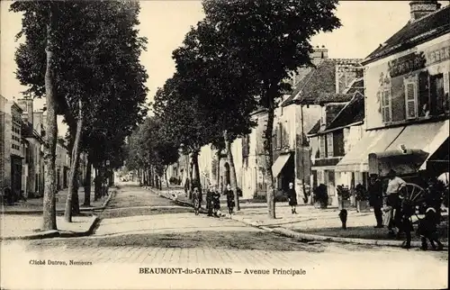 Ak Beaumont du Gâtinais Seine et Marne, Avenue Principale