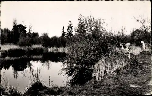 Ak Vert le Petit Essonne, Coin d´Étang