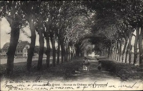 Ak Vert le Grand Essonne, Avenue du Château de la Saussaye