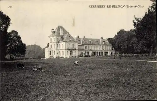 Ak Verrières le Buisson Essonne, Château, Pré avec des Vaches