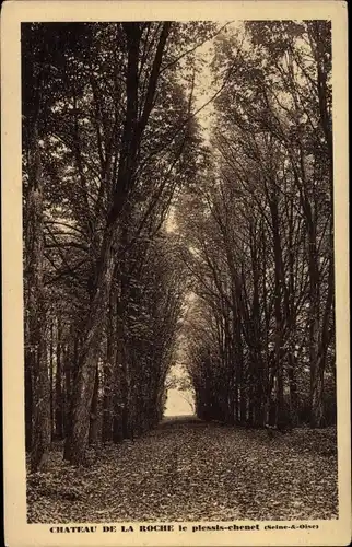 Ak Plessis Chenet Essonne, Château de la Roche