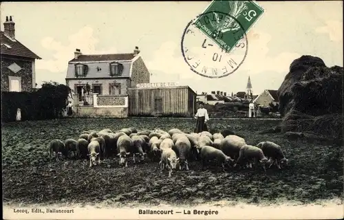 Ak Ballancourt Essonne, La Bergère, Schafe