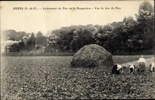 Ak Bures-sur-Yvette Essonne, Lotissement du Parc de la Hacquiniere, Vue de face du Parc