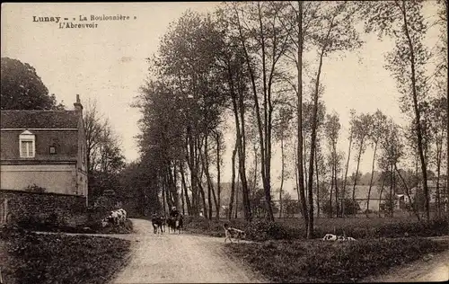 Ak Lunay Loir et Cher, La Roulonniere, L'Abreuvoir