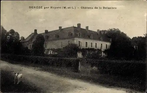 Ak Deneze Main et Loire, Chateau de la Boissiere