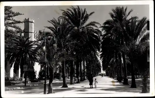 Ak Palma de Mallorca Balearische Inseln, Paseo de Sagrera