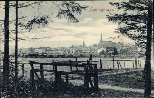 Ak Kellinghusen in Schleswig Holstein, Stadtansicht
