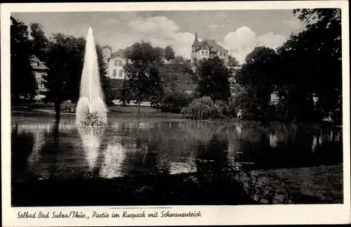 Ak Bad Sulza in Thüringen, Partie im Kurpark mit Schwanenteich
