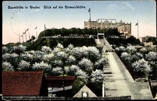 Ak Werder an der Havel, Restaurant und Hotel Bismarckhöhe, Baumblüte