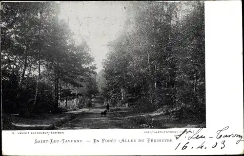 Ak Saint Leu Val d´Oise, En Forêt, Allée du Périmètre