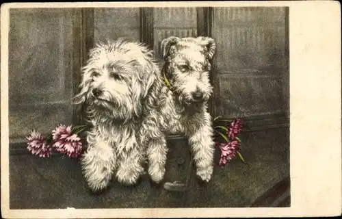 Künstler Ak Hunde in einem Wagen, Porträt