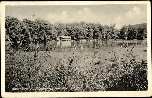 Ak Waldenburg in Sachsen, Schwanenteich mit Parkcafé