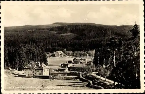 Ak Jägersgrün Muldenhammer im Vogtland, Ortschaft mit Landschaftsblick