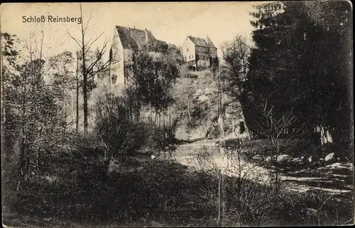 Ak Reinsberg im Kreis Mittelsachsen, Teilansicht vom Schloss, Wald