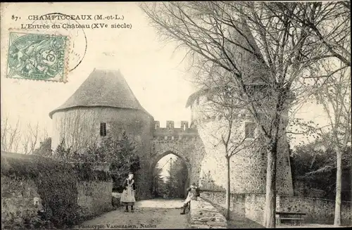 Ak Champtoceaux Maine-et-Loire, Entrée du Château