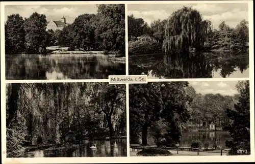 Ak Mittweida in Sachsen, Seeblick