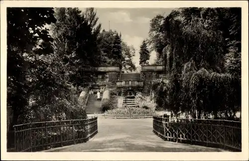 Ak Riesa an der Elbe Sachsen, Freitreppe im Stadtpark