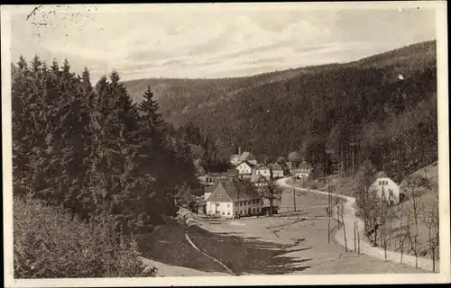 Ak Seiffen im Erzgebirge, Blick in den Seiffner Grund, Waldlandschaft