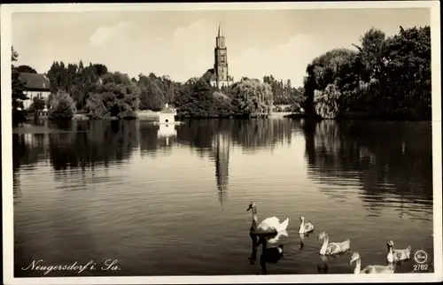 Ak Neugersdorf in Sachsen, Schwäne auf dem Teich, Kirche im Hintergrund