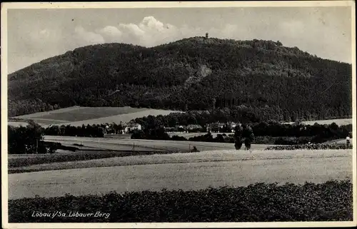 Ak Löbau in Sachsen, Löbauer Berg