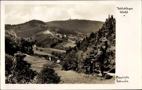 Ak Detmold am Teutoburger Wald, Landschaftspanorama Teutoburger Wald, Lippische Schweiz